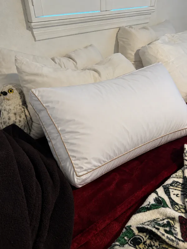 Review photo: the pillow propped against other pillows on a red blanket