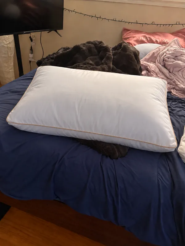 Review photo: the pillow on a blue comforter